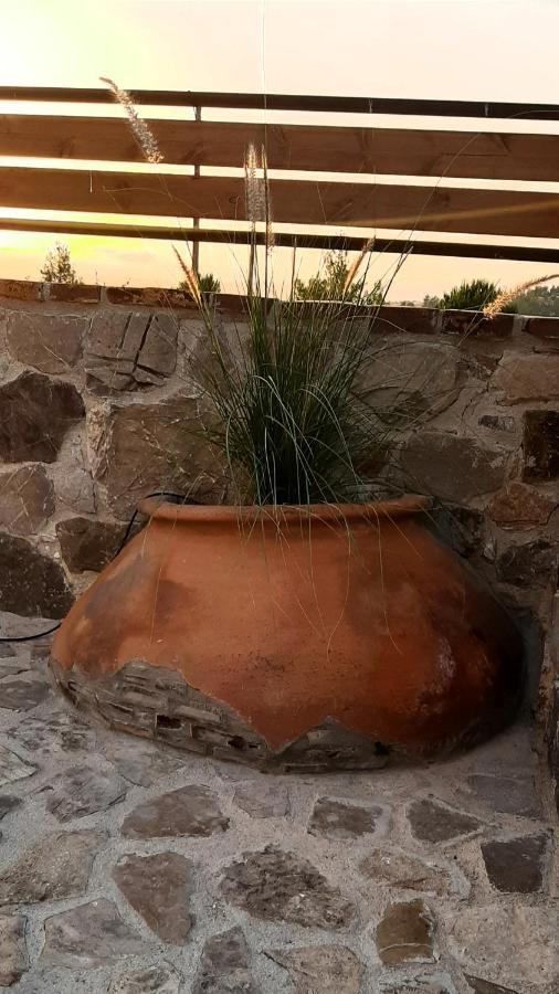 Savvas Brian Mountain House In Paphos Villa Pendalia Buitenkant foto