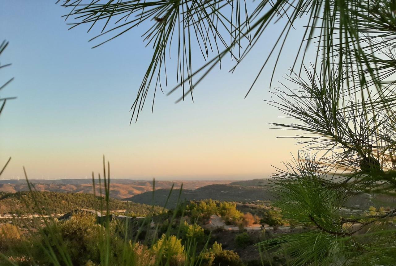 Savvas Brian Mountain House In Paphos Villa Pendalia Buitenkant foto